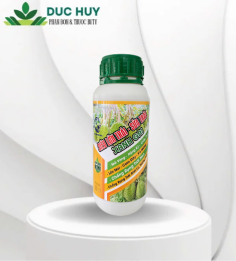 SIÊU LỚN TRÁI – SỬA TRÁI XANH GAI 500ml 