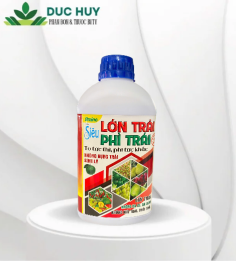 Amino Siêu LỚN TRÁI PHÌ TRÁI (1 lít)