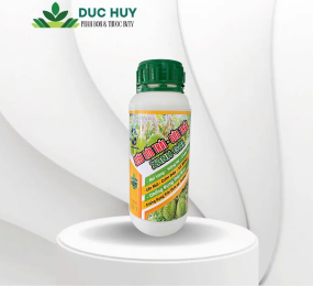 SIÊU LỚN TRÁI – SỬA TRÁI XANH GAI 500ml 