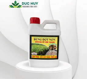 BUNG ĐỌT NON SIÊU RA RỄ CỰC MẠNH (500ml) - Phân bón hỗn hợp NK An Dân