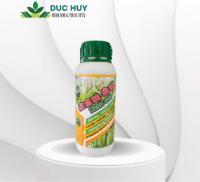 SIÊU LỚN TRÁI - SỬA TRÁI XANH GAI (500ml)